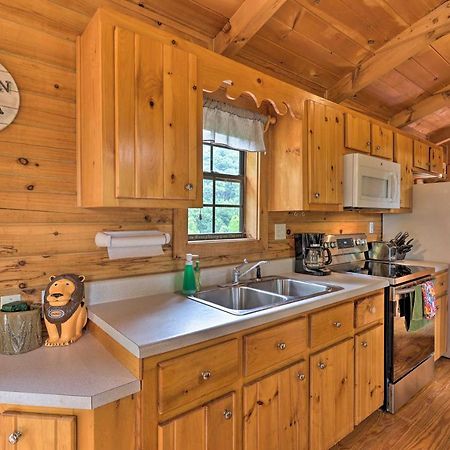 Quaint Log Cabin With Views Near West Jefferson Warrensville Zewnętrze zdjęcie